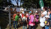 2018-09-13 Vstava skotu